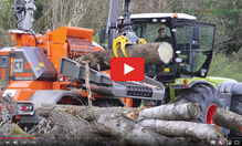 Brandstof Biomassacentrale Arnhem Schone Woodchip Biomassa wordt ook gemaakt van hele bomen