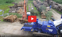 Brandstof Biomassacentrale Arnhem schone Woodchip Biomassa wordt ook gemaakt van hele bomen