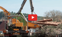 Brandstof Biomassacentrale Arnhem Schone Woodchip Biomassa wordt ook gemaakt van hele bomen