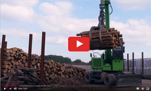 Brandstof Biomassacentrale Arnhem schone Woodchip Biomassa wordt ook gemaakt van hele bomen