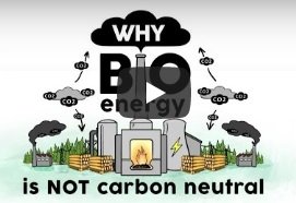 arnhemspeil animatie video waarom biomassacentrales niet CO2 neutraal zijn