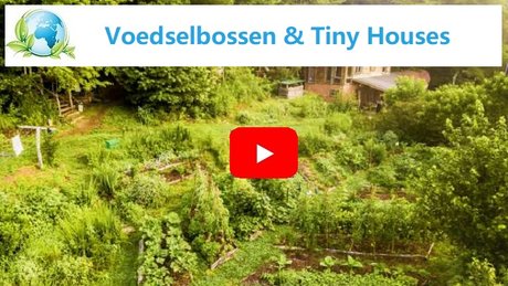 klimaatcoalitie-klimaatplan-voedselbossen-en-tiny-houses